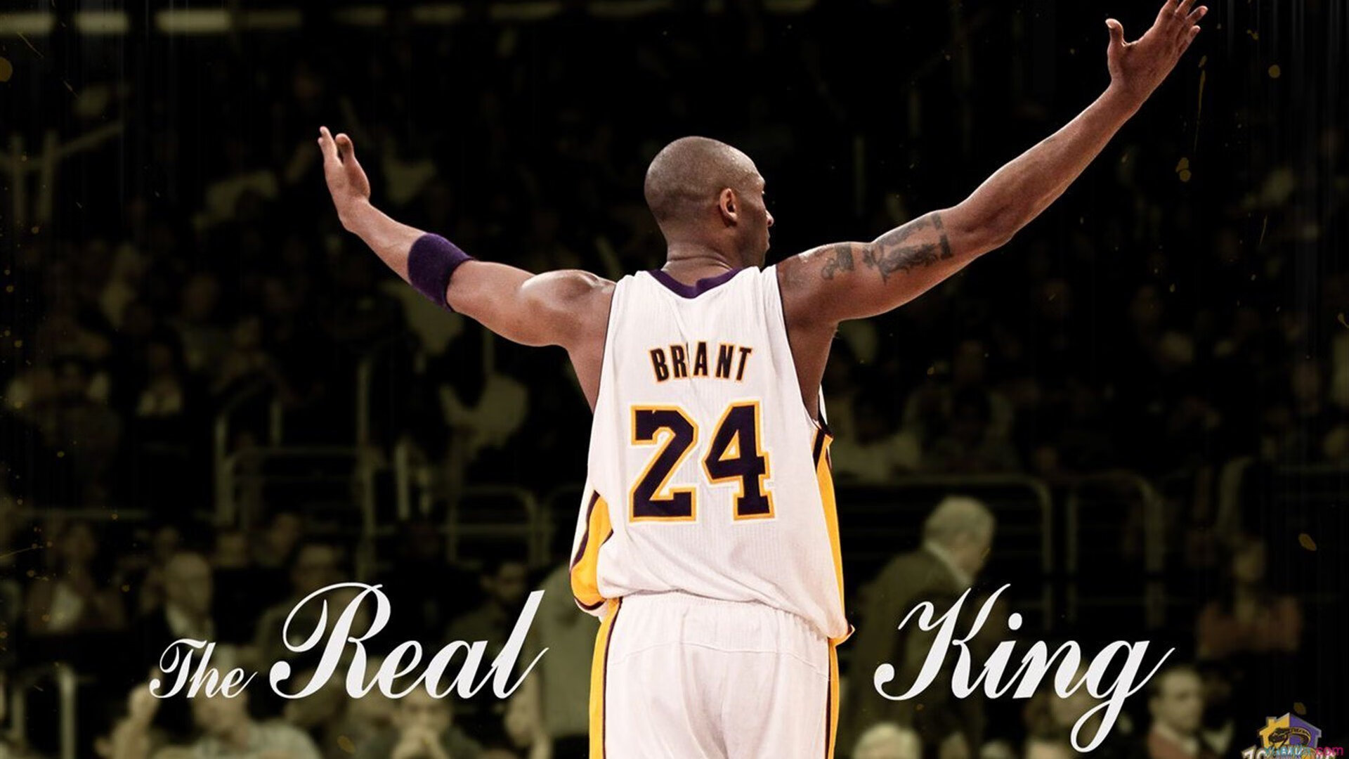 NBA联盟赛事安全管理体系完善，nba联盟赛制